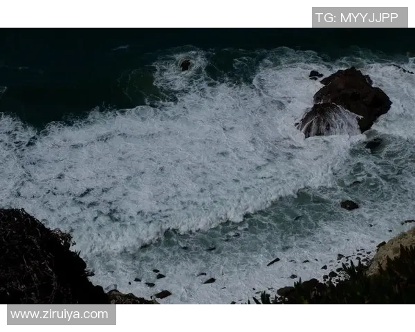 足球放鹰展翅高飞激情碰撞梦想与现实的完美交融